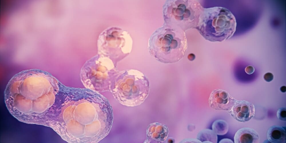 How Stem Cells Could Change Healthcare in the Next 20 Years 