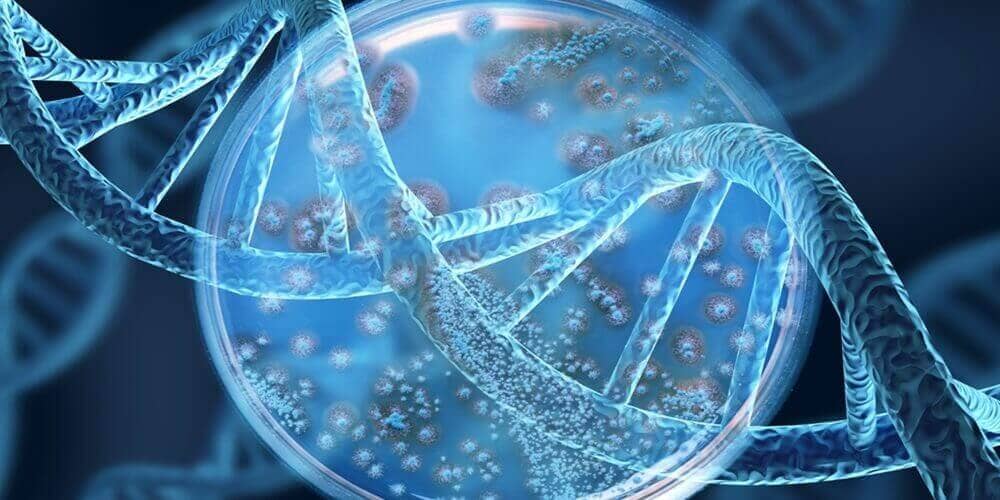 how-stem-cells-could-change-healthcare-in-the-next-20 years-1.jpg