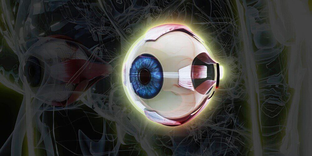 TRAUMATIC OPTIC NEUROPATHY (TON)