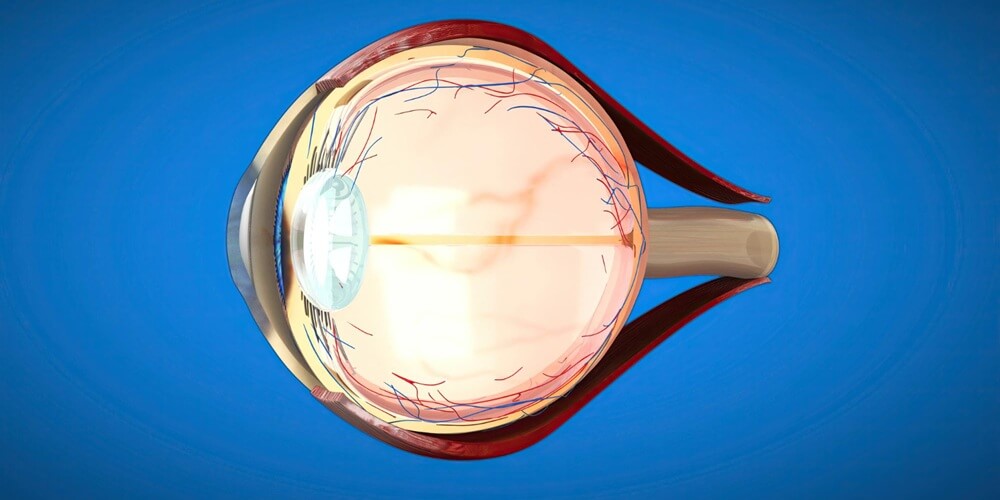 DAMAGE TO THE RETINA LAYER