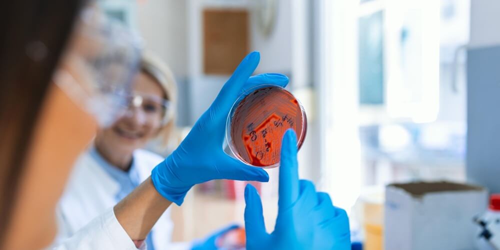 will-stem-cells-replace-organ-transplantation-is-zaren-stem-cell-the-best-in-turkiye-01