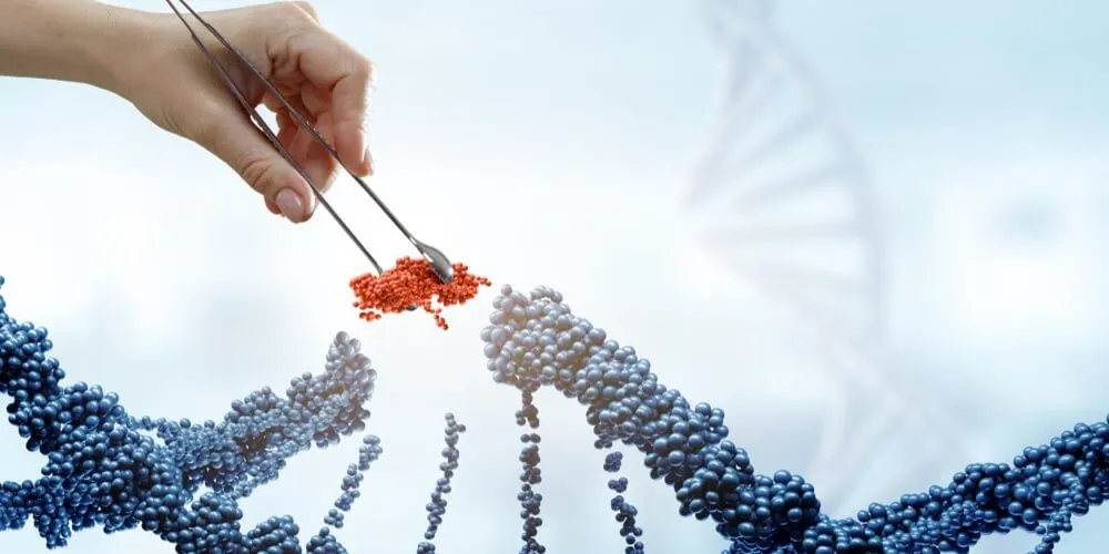 Stem Cell Theraphy in Türkiye