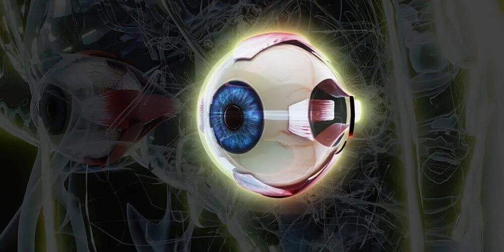 stem-cell-and-macular-degeneration-01