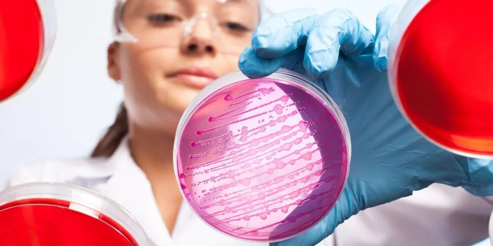 Stem Cell Turkey - Zaren