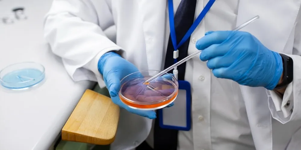 will stem cells replace organ transplants-02